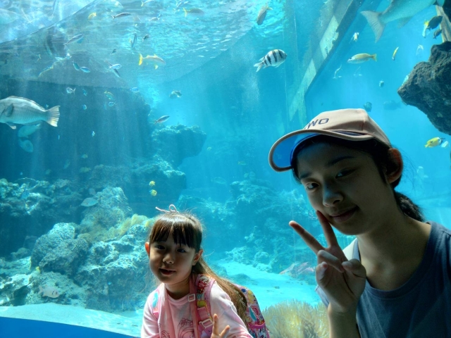 美ら海水族館見学会