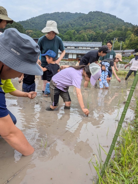 田植えイベント