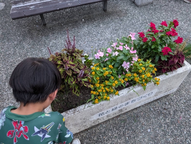 お花の苗植え、花壇整備