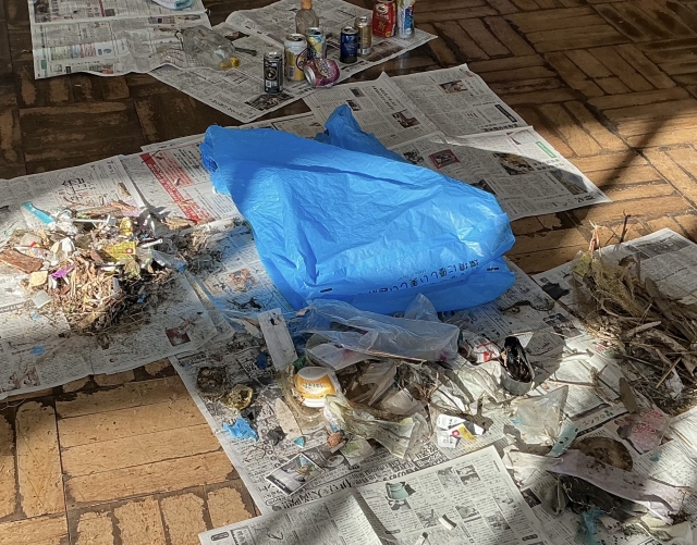 ふるさとのゴミ拾いをしてみました