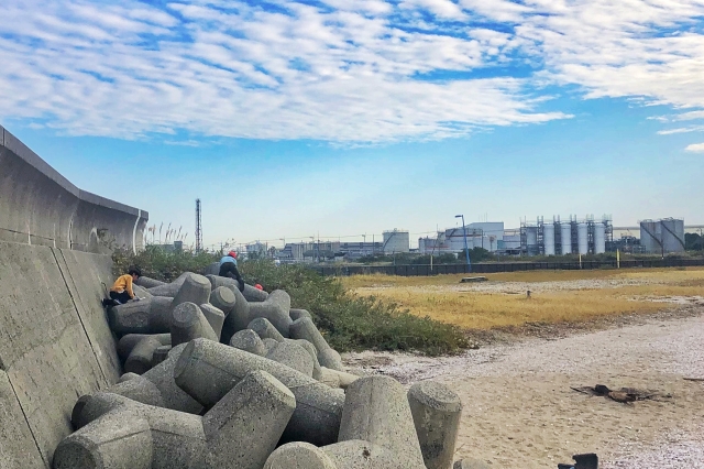 我が家のスポーツごみ拾い（ビーチコーミング）