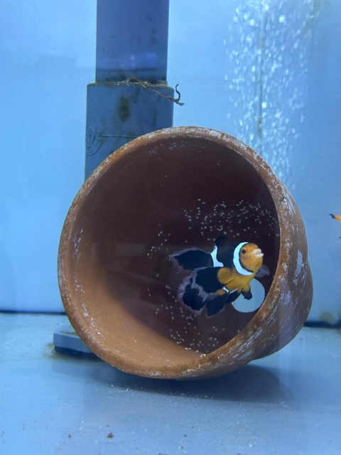 第７回　沖縄科学技術大学院大学（OIST）をのぞいてみよう！