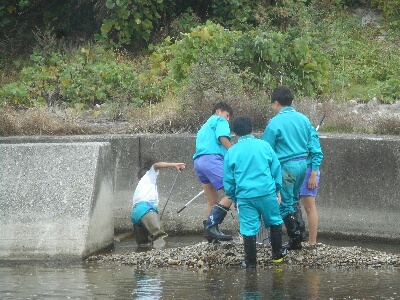 トライやる・ウィーク　明石川中流の迂回型魚道(せせらぎ水路)の浄化作戦と明石川中流調査