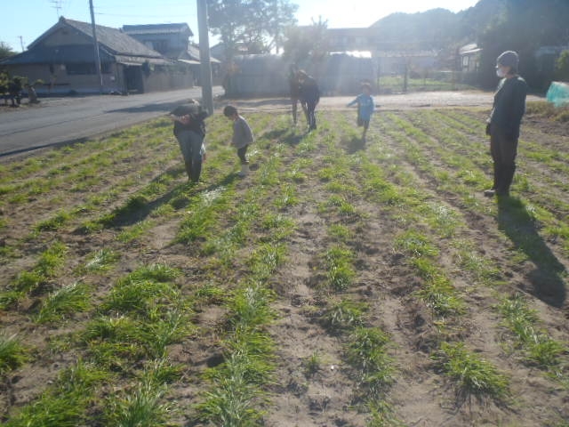 秋の収穫祭宿泊体験会