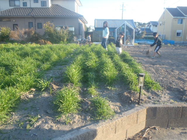 秋の収穫祭宿泊体験会