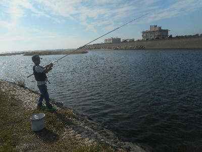 明石川河口調査