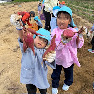 さつまいも掘り
