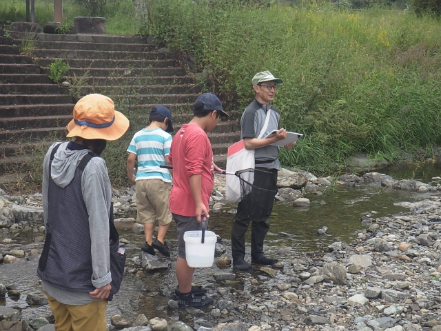 川の水生生物調査