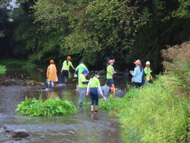 秋の江津湖生きもの観察会