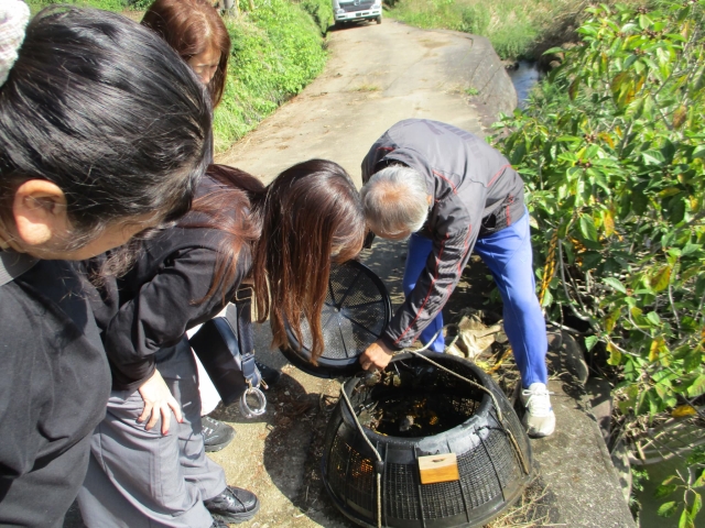 野津原地区生物多様性調査
