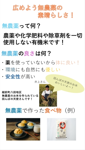 無農薬のお米　宣伝チラシ（田んぼの天使さん）