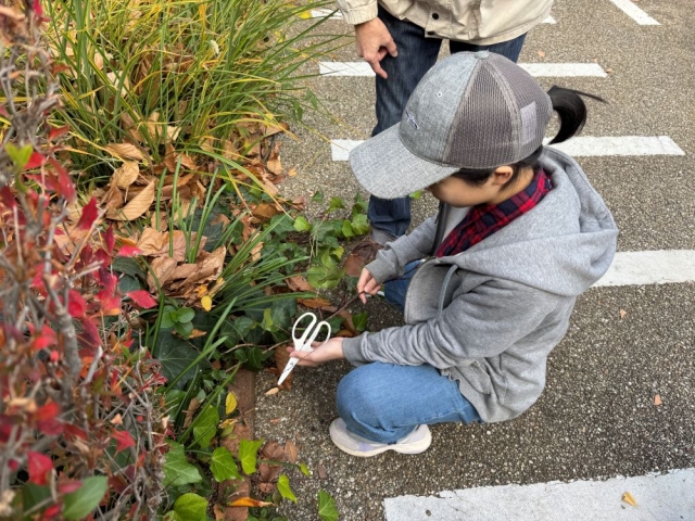 ガーデンにある植物でクリスマスリースづくり