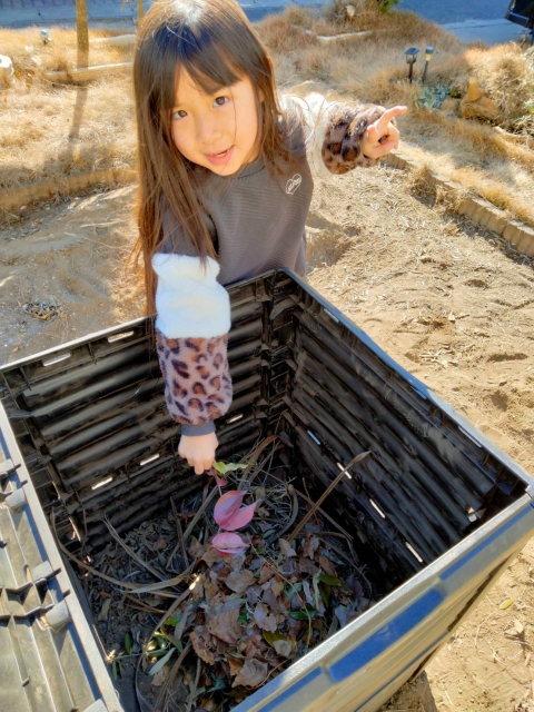 コンポストの設置