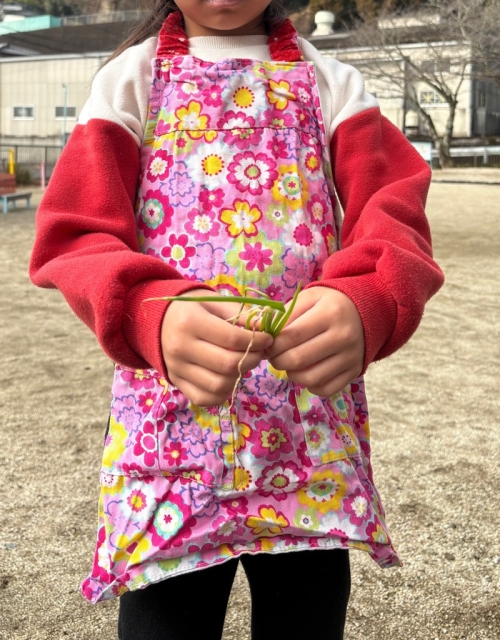 育てたネギを使ってクッキングをしました。