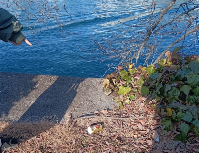 川ごみ探し　水生生物観察