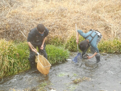 加古川水系調査