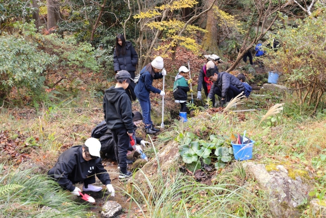 森のクリスマス
