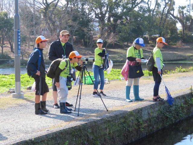 冬の江津湖生きもの観察会とまとめの会
