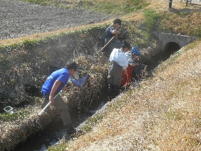 平野大池用水路調査