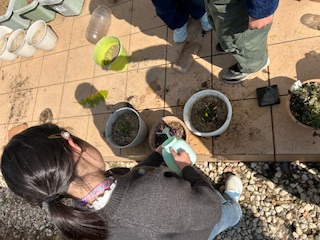 コンポスト再挑戦＆竹チップ肥料で植え替え