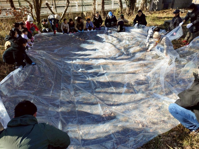 ビオトープの池を造り替えよう