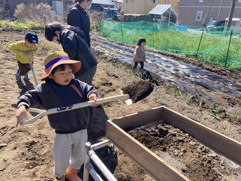 春ジャガイモの植付けと夏野菜の種まき