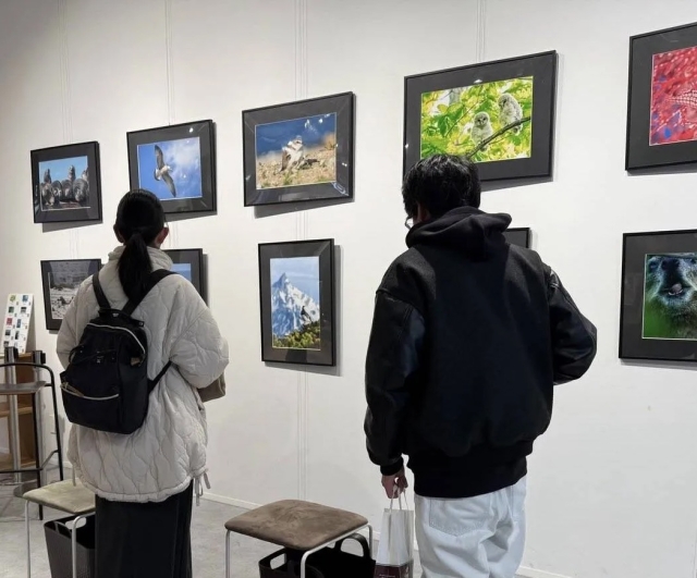 それぞれの瞬間　１０人のフォトグラファーによる動物写真展　展示