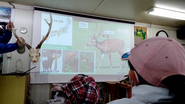 鹿被害のフィールド調査