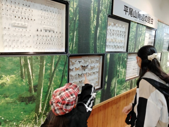 昆虫学習館見学