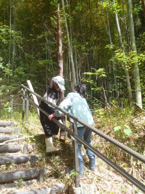 竹林の整備と筍狩り