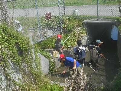 平野大池用水路調査