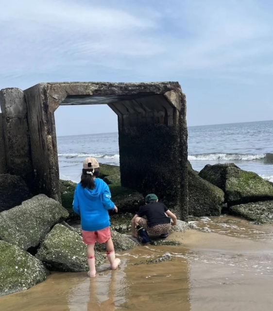 白塚の浜を愛する会さん活動参加