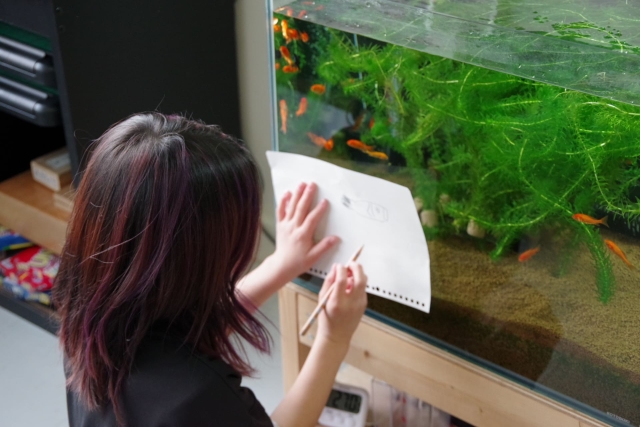 復活！ネイパルこどもエコクラブ①