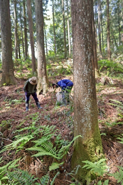 森の清掃活動&サポーター憲章作成