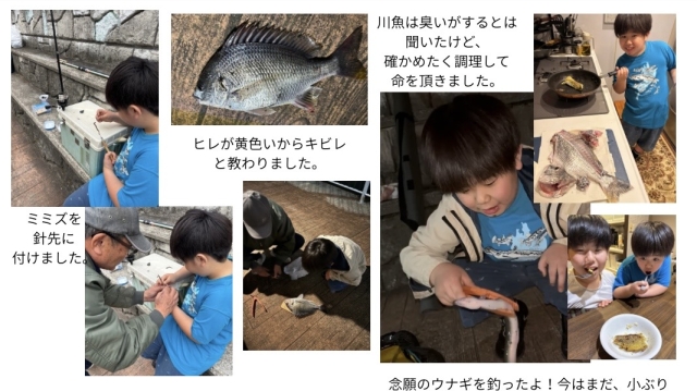 堂島川の生き物調査から考える水環境
