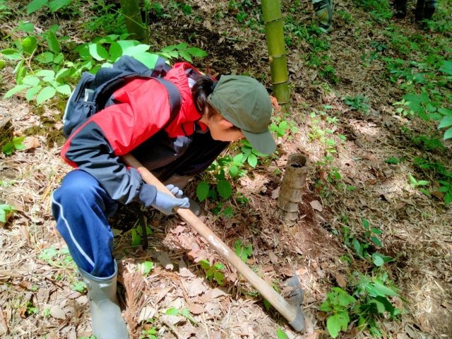 竹林のお礼整備