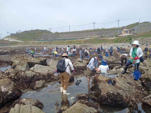 磯の生き物と釣り体験