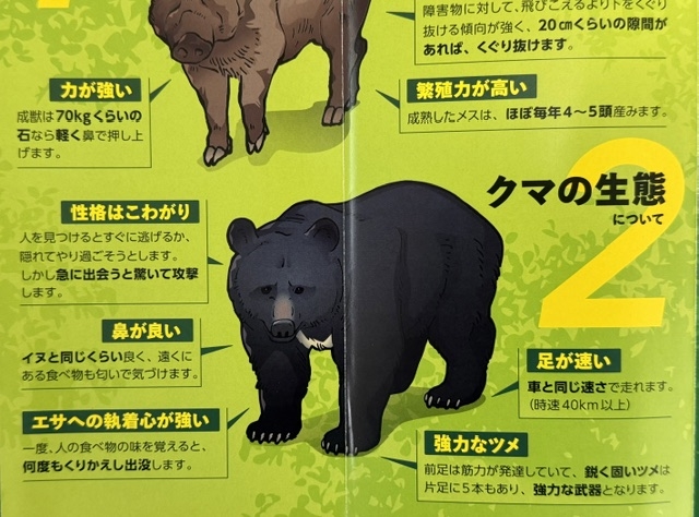 クマ対策の特別授業