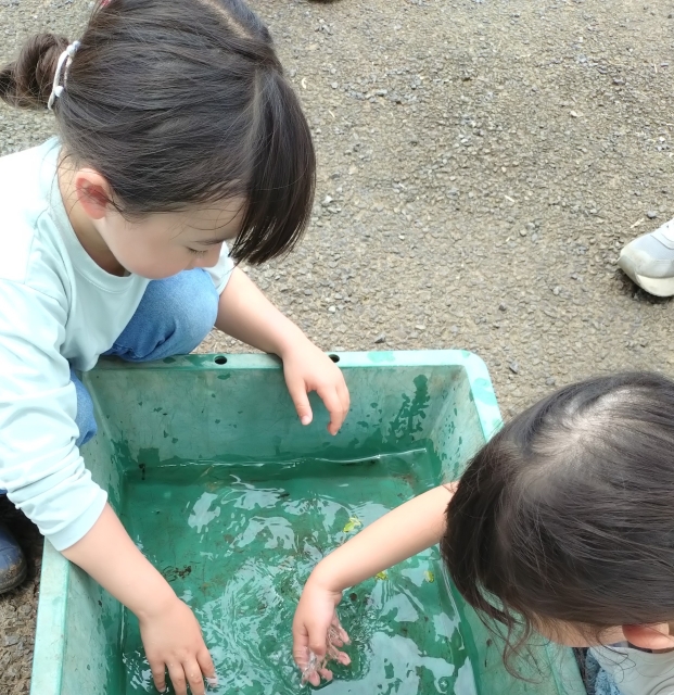 生物の観察