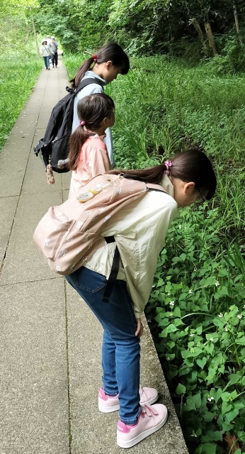 大町自然観察園で生き物探し