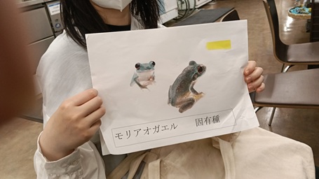 環境勉強会