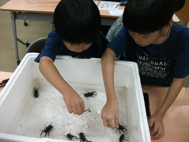 生物多様性講座「昆虫に触ってみよう！」