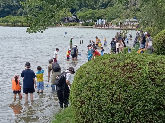 千波湖の生き物学習