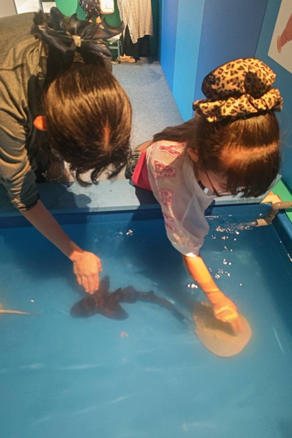 ふしぎな水族園in前橋