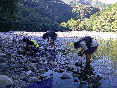高知県宿泊研修６　黒尊川調査と刺し網