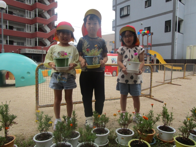 ペットボトルキャップエコ植木鉢　松葉ボタンも咲きました！