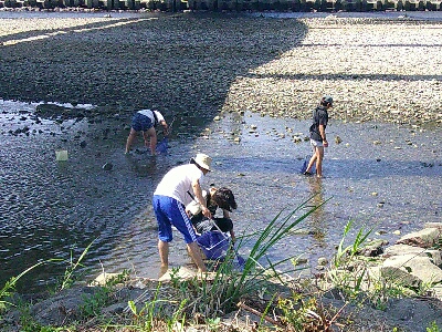 高知県宿泊研修７　新荘川河口調査