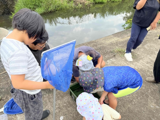 夏のビオトープ体験と生物多様性観察会