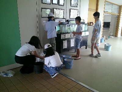 学校休校日の水かえと餌やり
