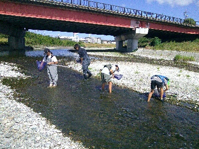 明石川中流調査